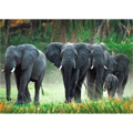В мире животных. Африканские слоны