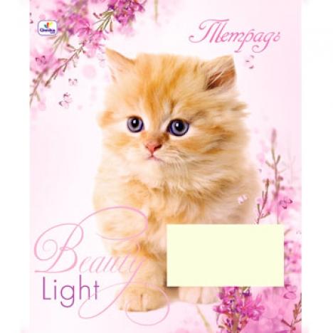 48 листов (выборочное лакирование с блестками):  Милые котята