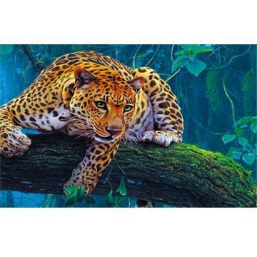 В мире животных. Леопард на дереве